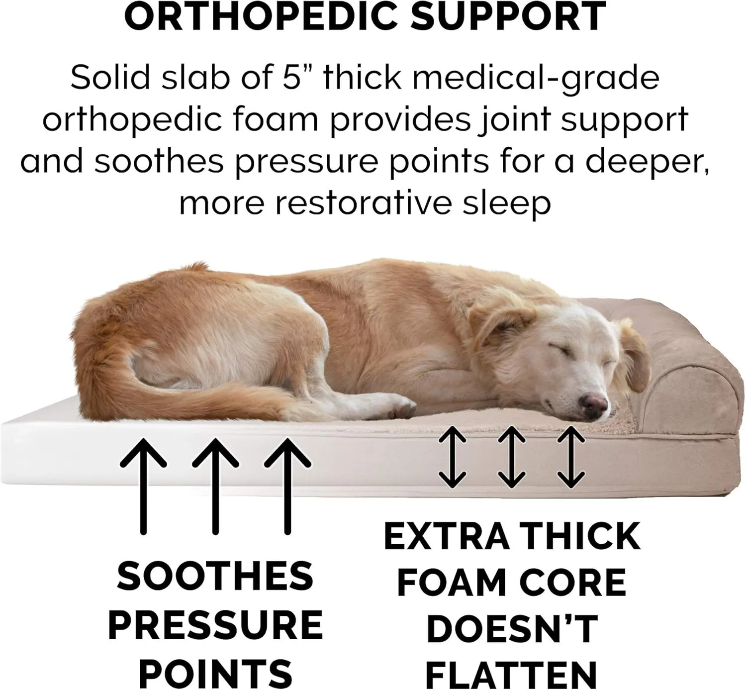 Furhaven Orthopedic Dog Bed for Large Dogs Review